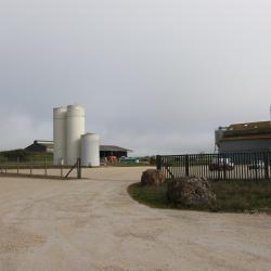 Axéréal