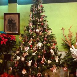 Azur Fleurs - Fleuriste Nice