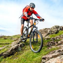 B Bikes