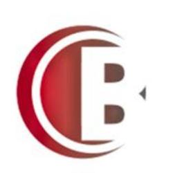 B Consulting