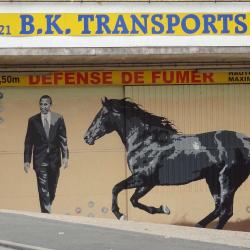 B-k Transport