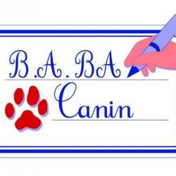 B.a. Ba Canin