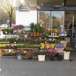 Ba Fleurs
