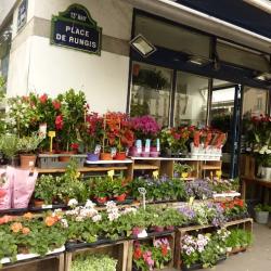 Ba Fleurs