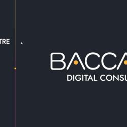 Baccana Digital Consulting