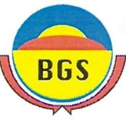 Badi Global Services
