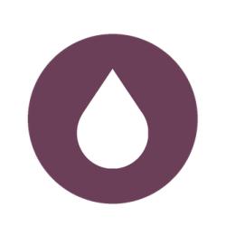 Bainsenior