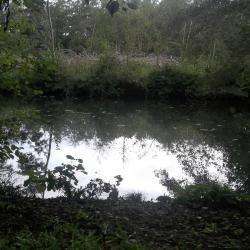 Balade Des Bords De Sèvres