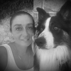 Balto Et Ange Academy