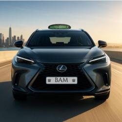 Bam Permis Rapide / Accéléré