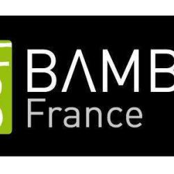 Bamboo France