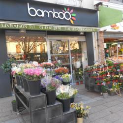 Bamboo