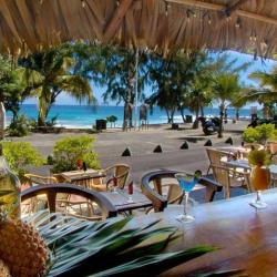Bambou - Bar
