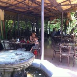 Bambou Thai