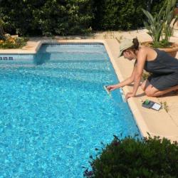 Pool Service 83
