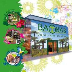 Baobab