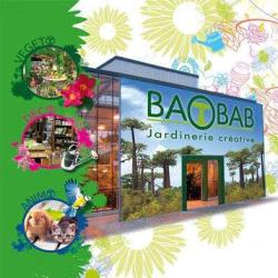 Baobab
