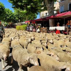 Bar Des Alpilles Les Comptoirs Du Gigot