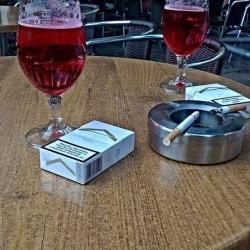 Bar Gayot