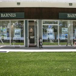 Barnes Annecy