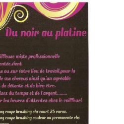 Du Noir Au Platine