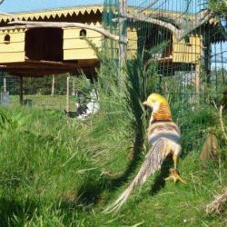 Animalia Parc