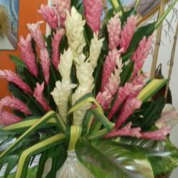 Barthelemy Catherine