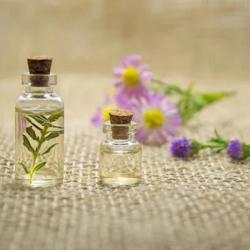 Bastian Stéphane