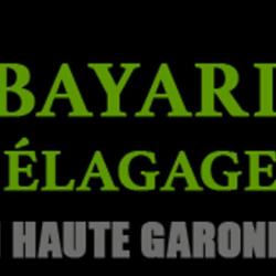 Bayard Elagage