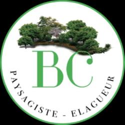 Bc Paysagiste - Elagueur 91