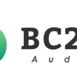 Bc2g Audit
