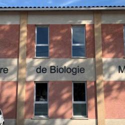 Bch - Biologie Du Cœur D’hérault