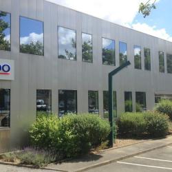 Bdo Stratégie Et Performance