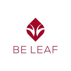 Be Leaf Coaching Professionnel - Bilans De Compétences - Vitrolles