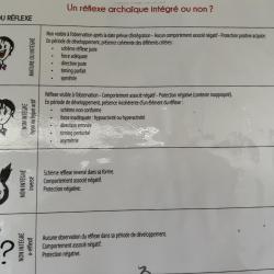 Béatrice Nourry Kinésiologue Spécialisée En Périnatale