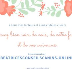 Béatrice Suzan - Beatricesconseilscanins