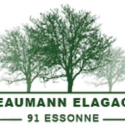 Beaumann, élagage Pro Dans Le 91