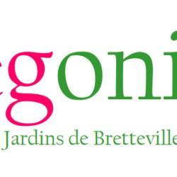 Bégonia - Les Jardins De Bretteville