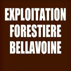 Bellavoine Jean-michel