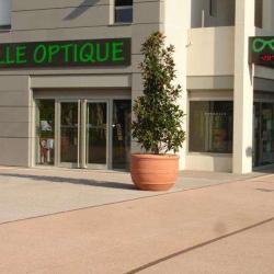 Belle Optique