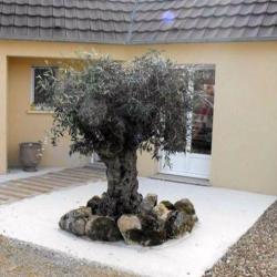 Belleme Concept Jardins