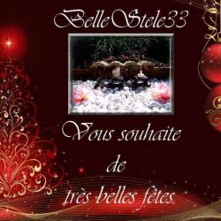 Bellestele33