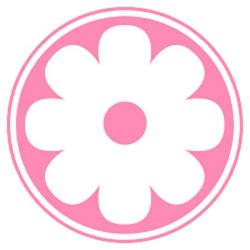 Bellis Blanche