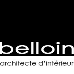 Belloin David