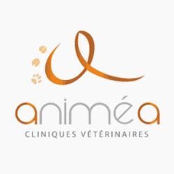 Animea