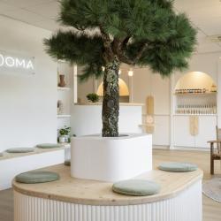 Beoma - Centre Laser Et Médecine Esthétique Biarritz