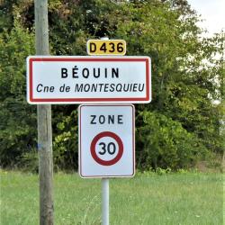 Bequin