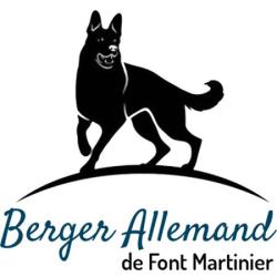 Berger Allemand De Front Martinier
