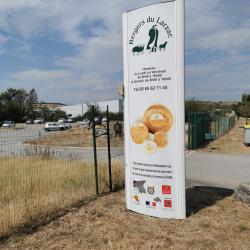 Bergers Du Larzac