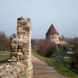 Bergheim
